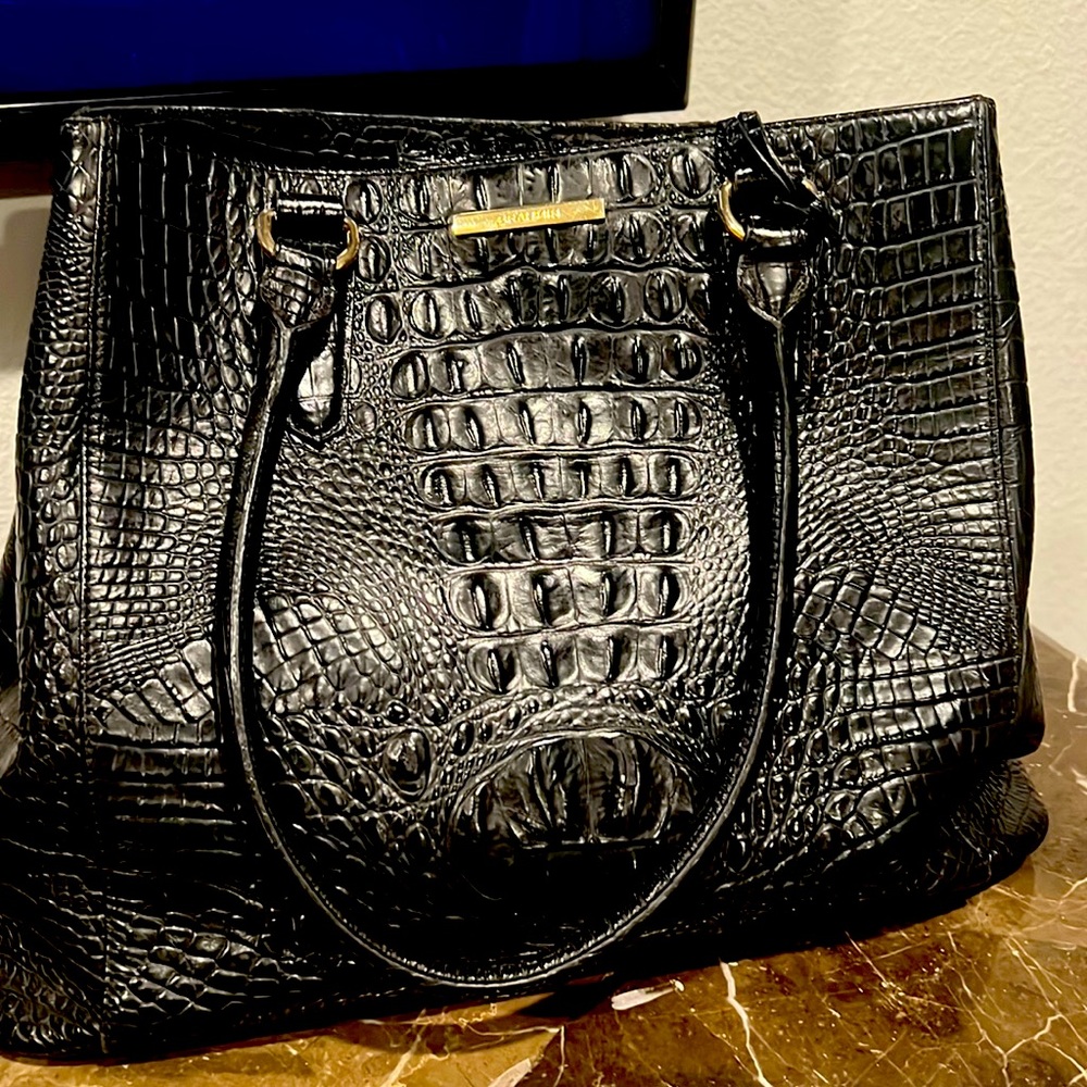 Black Melbourne Brahmin